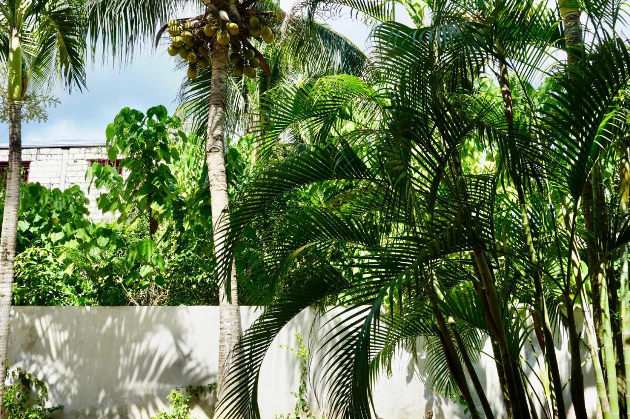 Flower Garden Resort Panglao Eksteriør billede
